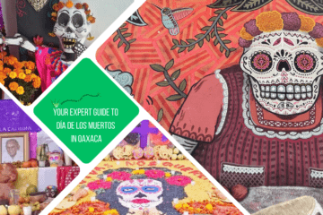 green text box: "your expert guide to dia de los muertos in oaxaca" 4 photoos - 1 of an ofrenda, 1 of street art picture of a catrina, 1 of a catrina and 1 of sand art tapete
