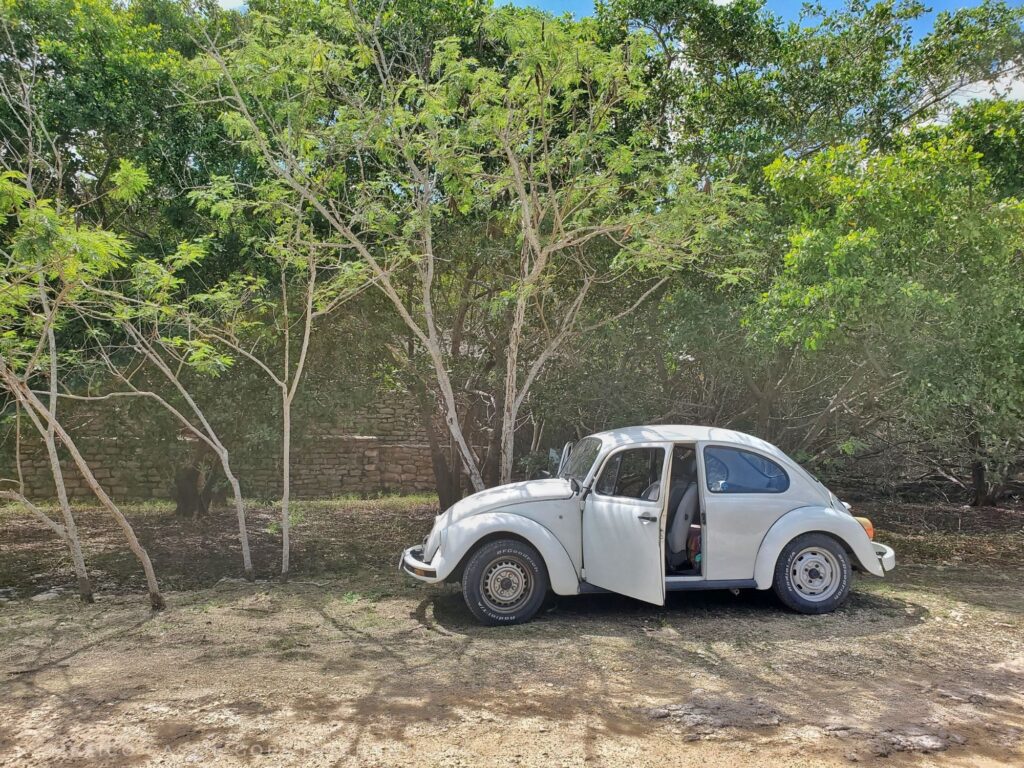 white vw with one door open in front of trees and a hidden mayan pyramid