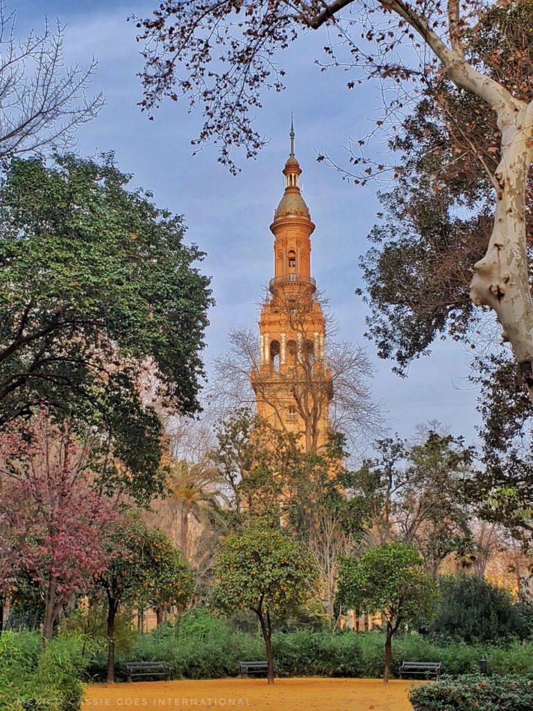 tower of plaza de españa showing through trees