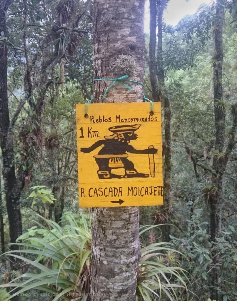yellow sign on tree - picture of indigenous person, writing says Pueblos Mancomunados 1km R Cascada Moicajete