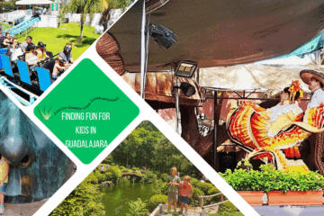 green text box: finding fun for kids in guadalajara. 4 photos - 1 of mariachi dancing (man and woman), 1 of 2 small kids on a bridge in a park, 1 of blue roller coaster and passangers in vr headsets, 1 of kid in yellow shirt with her head up the nostril of a face sculputre