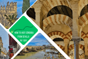 green text box: how to visit Córdoba from Sevilla in 1 day. 4 photos - arches in Mezquita, tower of Alcázar, Mezquita tower and river with roman bridge