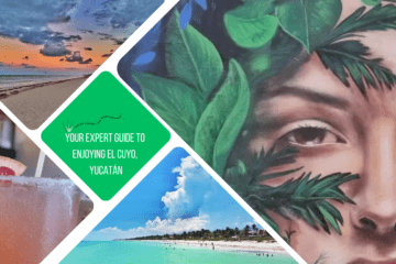 green text box: Your expert guide to enjoying El Cuyo, Yucatán. 4 photos - 1 of a close up of street art face with leaves in front of it, 1 of beach taken from over the water, 1 cocktail glass and 1 beach at sunset