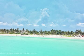 turquoise water, white sand, palm trees, blue sky with clouds