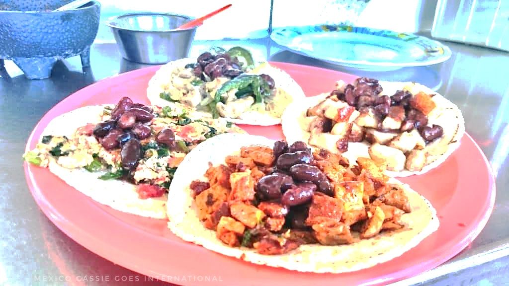 pink plastic plate with 4 tacos with various fillings
