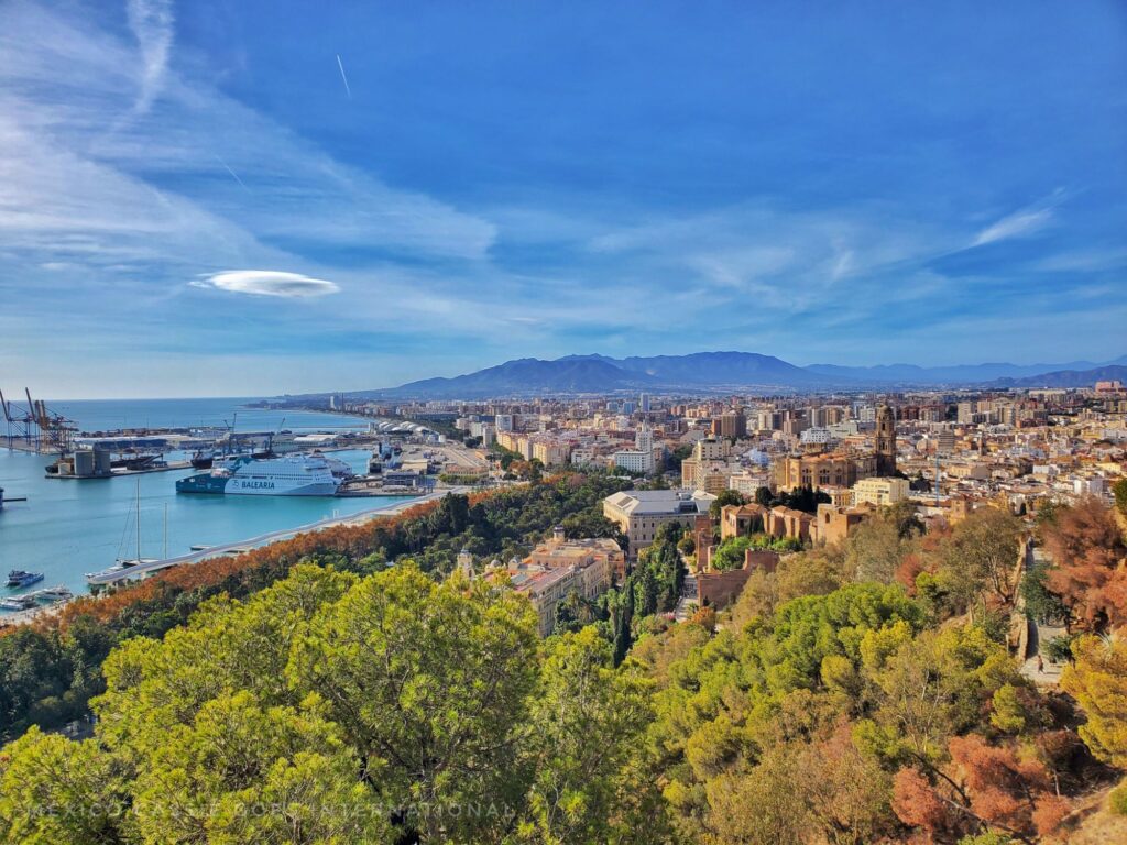 view over Malaga - trees, buildings and port