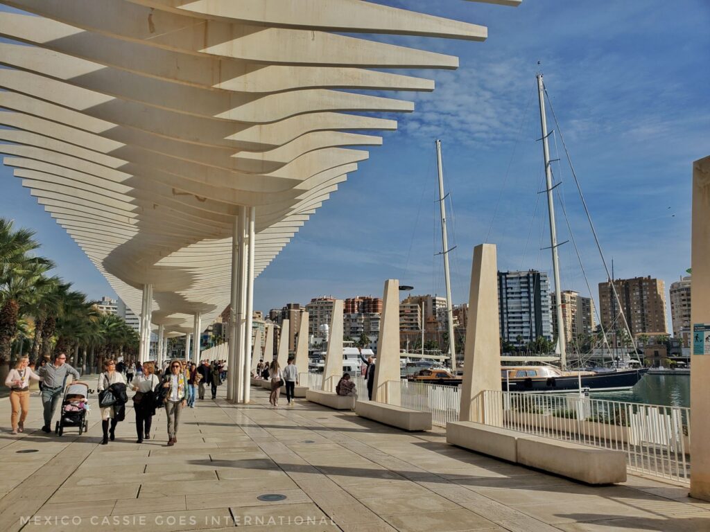 muelle uno in malaga - wide path by dock with white bone style shade protector 