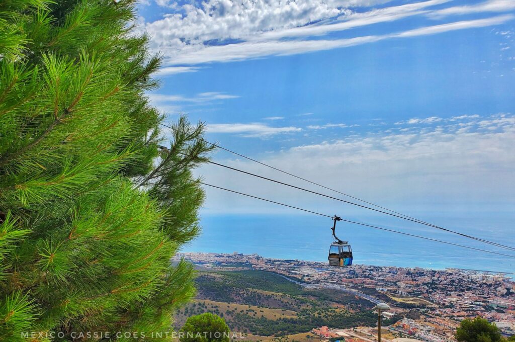 pine tree covering left of picture, cable car carriage and lines  over countryside, town and sea