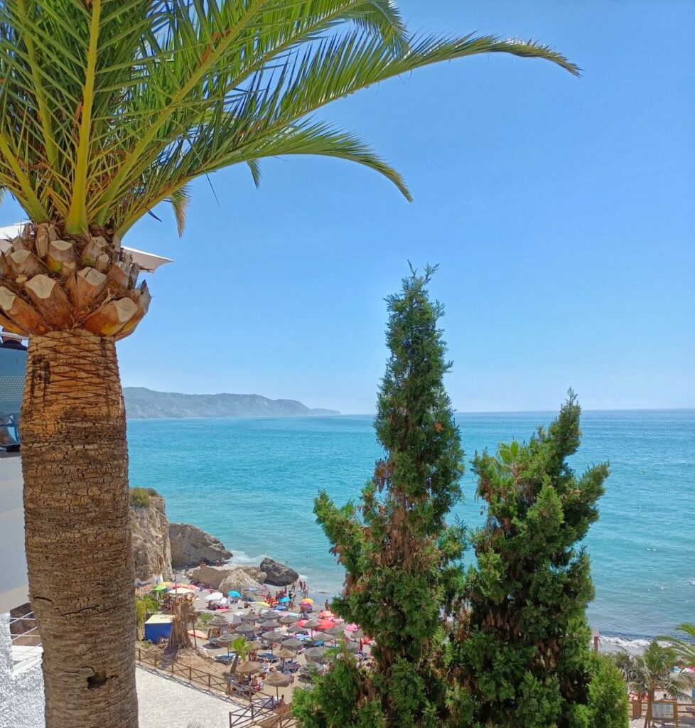 view from a balcony looking down onto small beach covered in umbrellas, palm tree on left of photo and tops of two firs in middle. V blue ocean