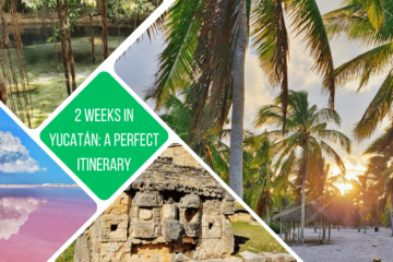 green square: 2 weeks in Yucatan a Perfect Itinerary. 4 sections: 1. pink water, blue sky, cloud reflected in water 2. close up of a section of ruin 3. largest section is palm trees on beach at sunrise 4. cenote with vines hanging down