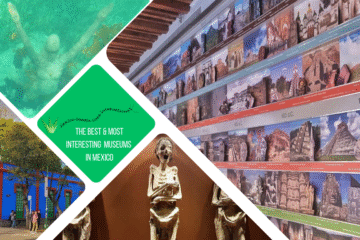 green text box: the best and most interesting museums to visit in Mexico