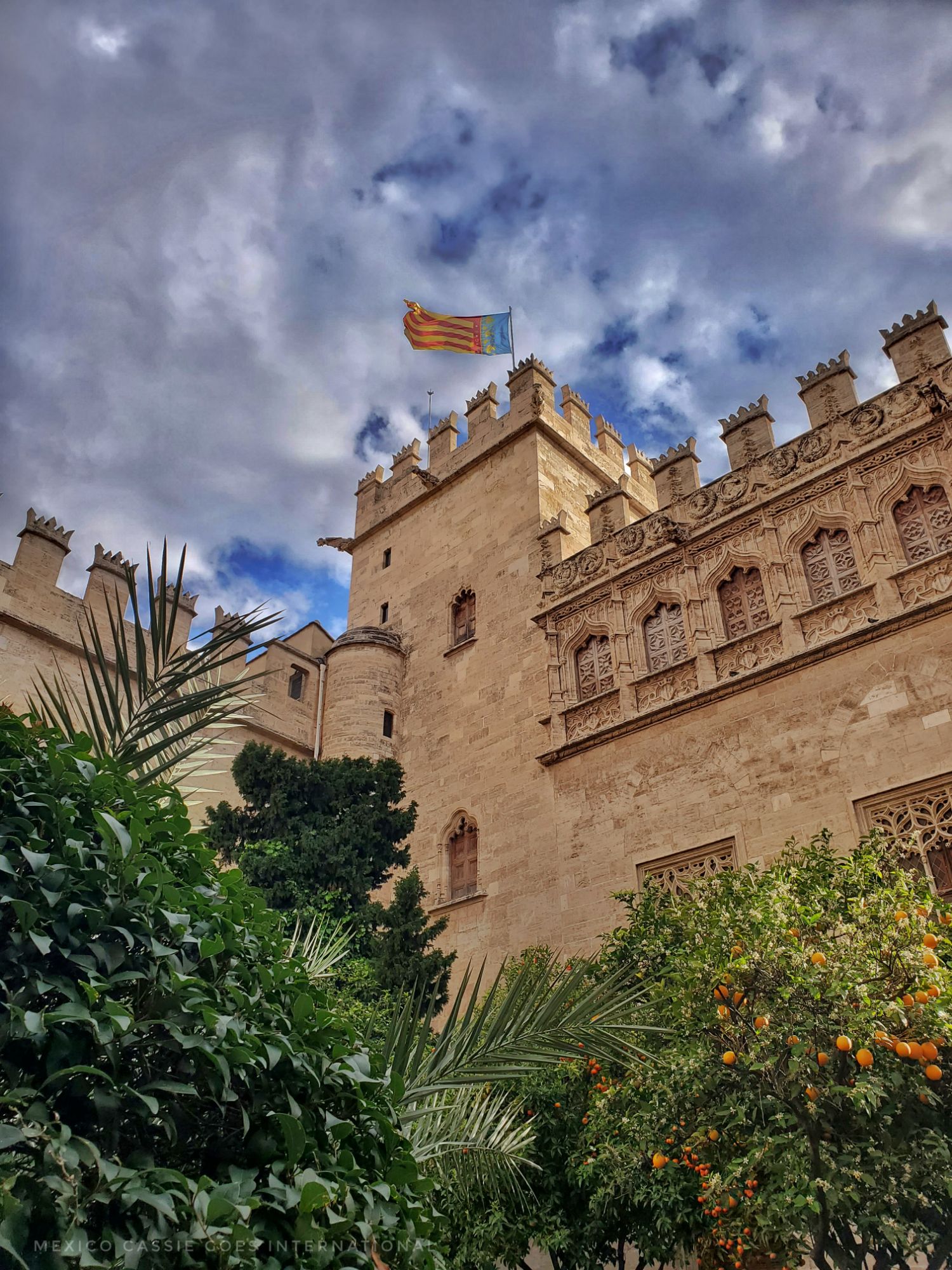 view of a corner of a castle looking building with a flag flying and orange trees all around