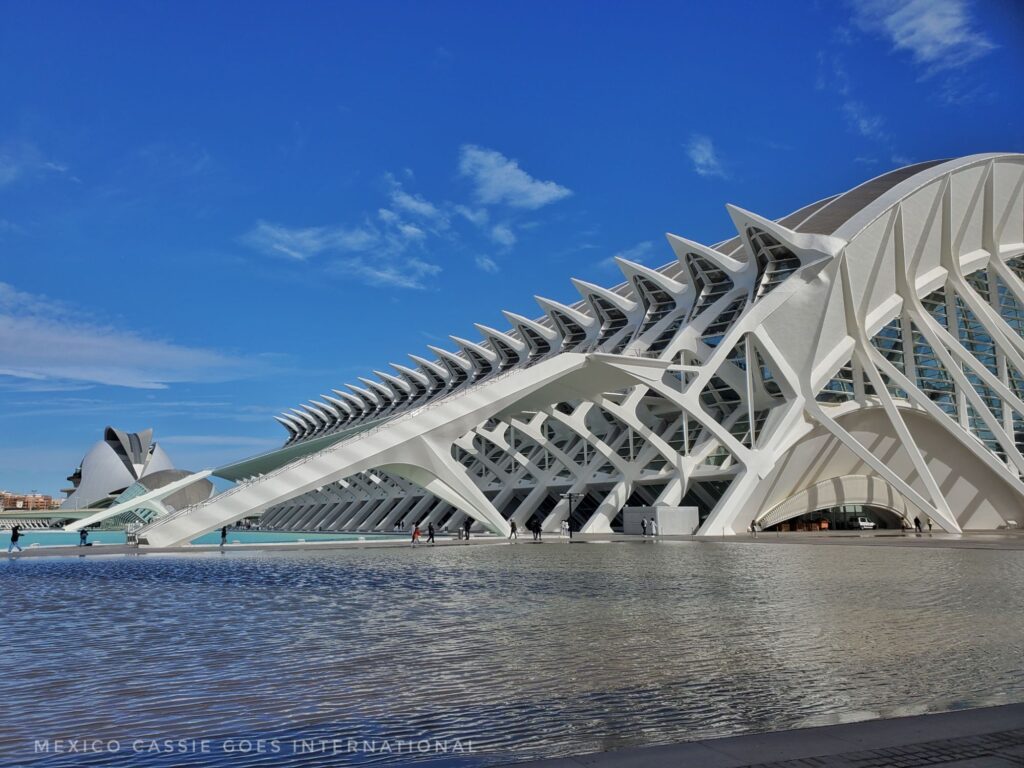 Valencia science museum  - white boney looking building, water in front and blue sky