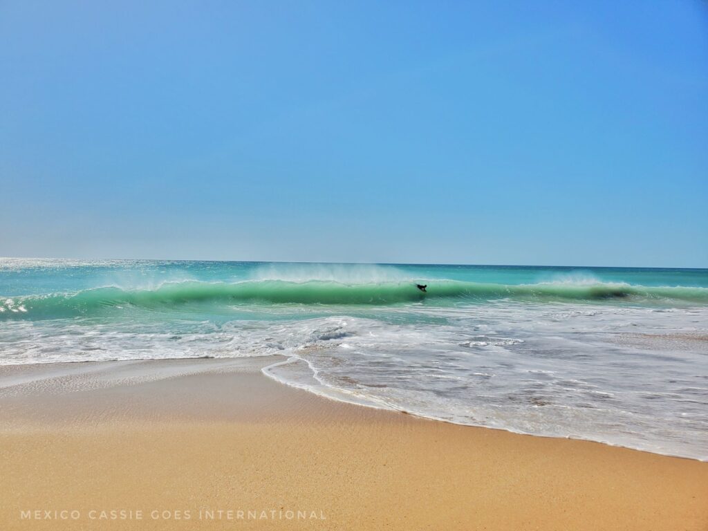 empty sandy beach and bright green sea water
