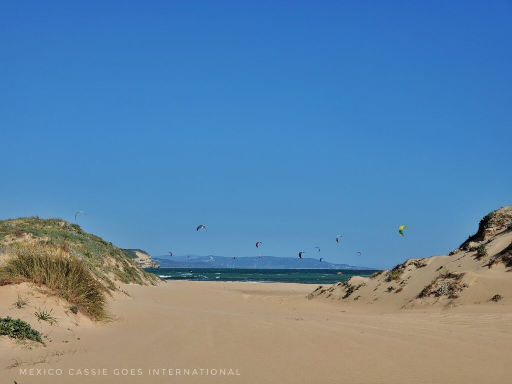 sandy beach, water and kite surfers