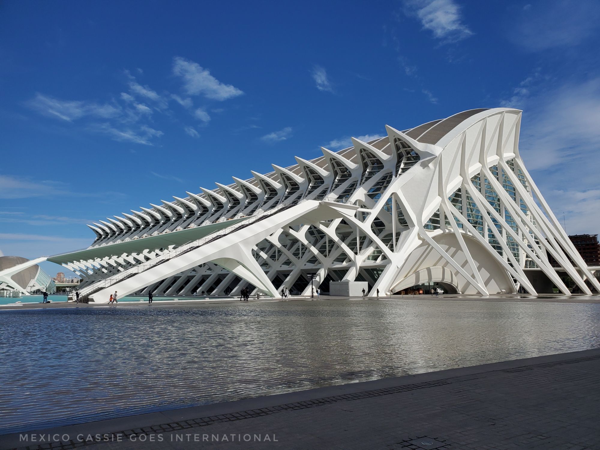 Valencia's science museum (white bones of a building with water in front) blue sky