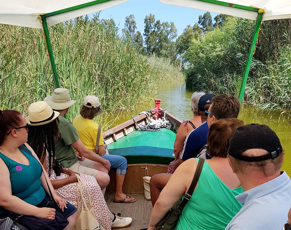 people on a boat (all looking away from camera) going along a narrow channel of greenish water, reeds on either side