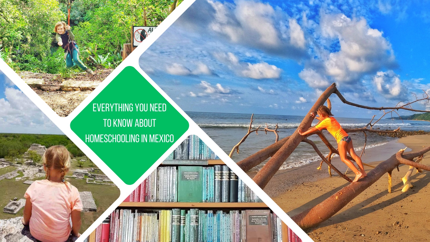 green square with words "everything you need to know about homeschooling in mexico", around it are 4 pictures - on left a kid sitting on top of a ruin looking out over others, on top a kid ziplining, to right a kid on a dead tree on a beach and the bottom is a colourful bookcase full of books