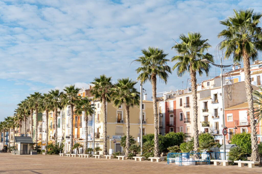 row of colourful apartment buildings, blue sky and palm trees out front