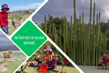 green box: white writing says "the very best of oaxaca with kids". 4 pictures. far right, tall cacti, bottom, children's playground, left, child in water, right, child on top of steps