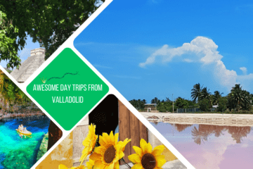 green square: white text reading, "awesome day trips from Valladolid". 4 sections of photos. bottom left: man and kids in a kayak on v blue water, bottom middle, sunflowers and a door, right, pink water, trees and reflection of clouds in water, top: chichen itza pyramid from behind trees