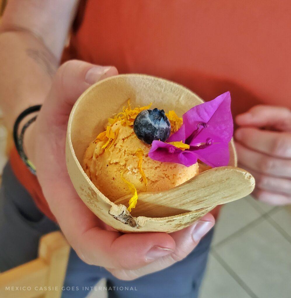 close up of a person's hands holding a natural gourd bowl with orange ice cream scoop in it - 1 blueberry on top and 1 pink flower
