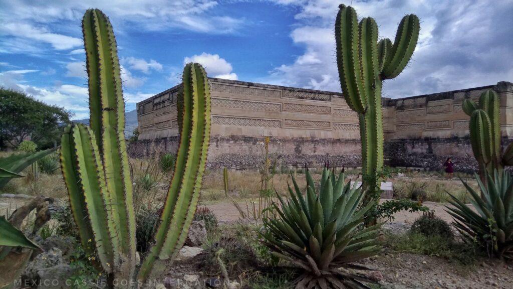 mitla ruins with cacti in foreground