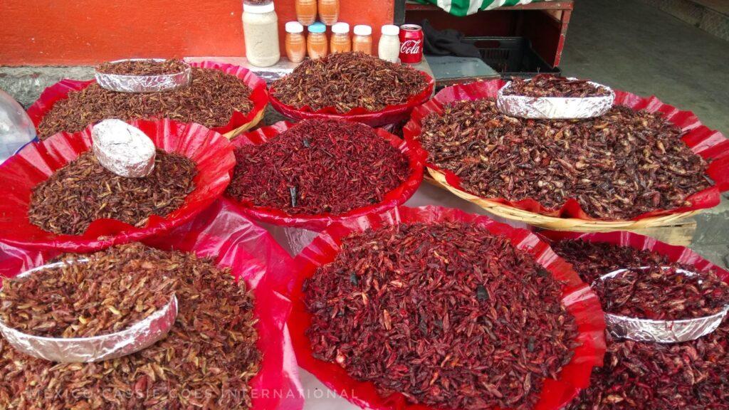 lots of baskets of dried crickets