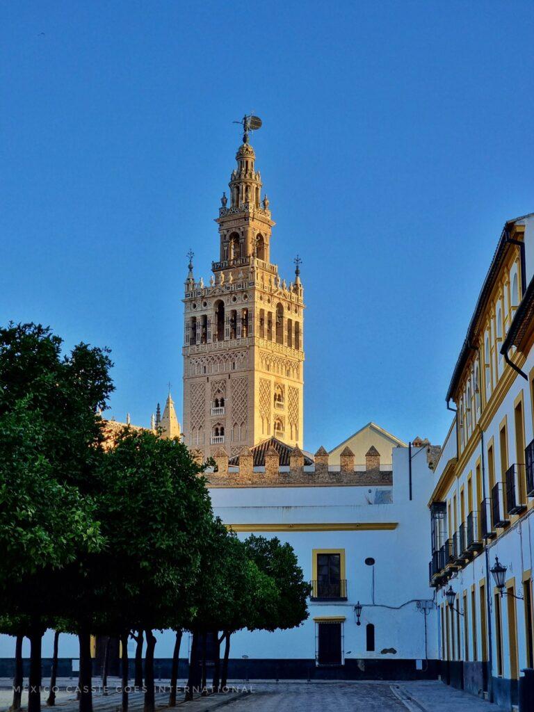 la giralda (cathedral tower) standing tall behind white houses and orange trees