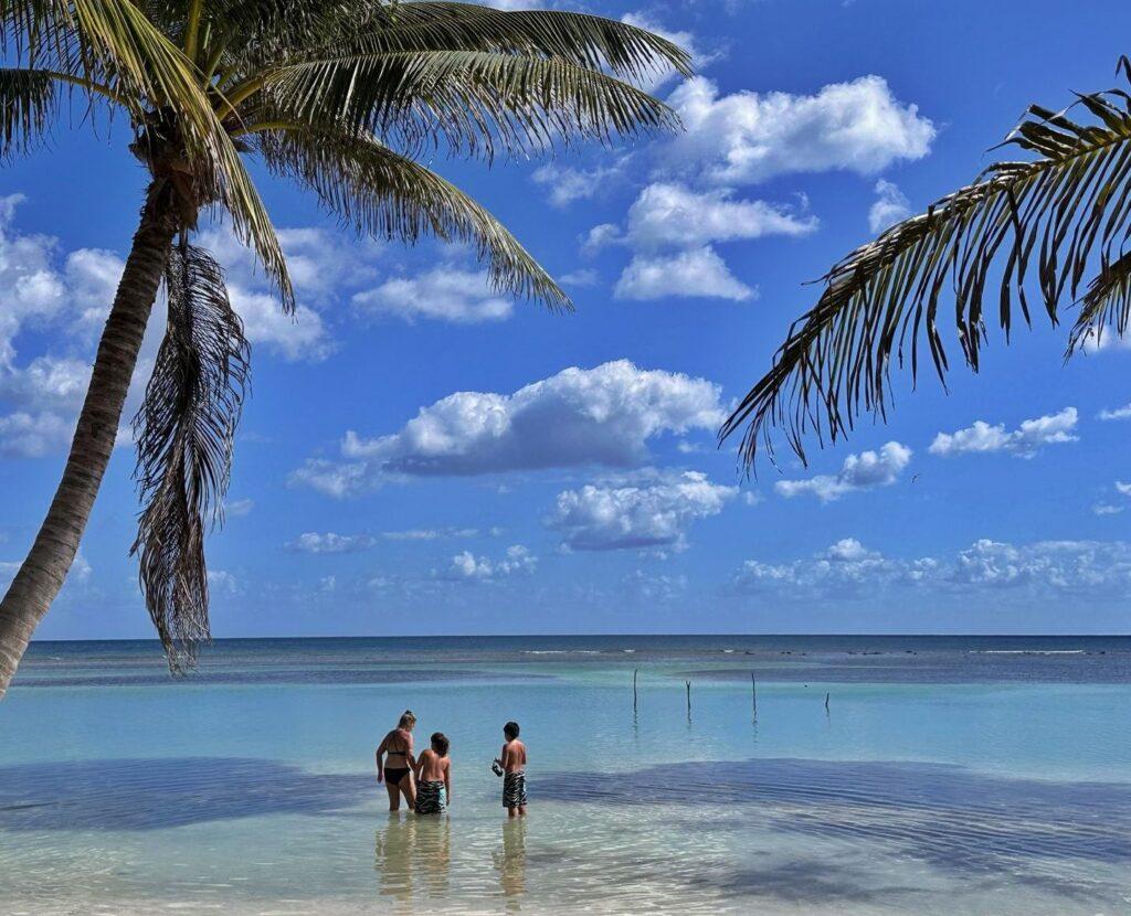 very calm, shallow Caribbean looking sea with palm trees and 3 people in water