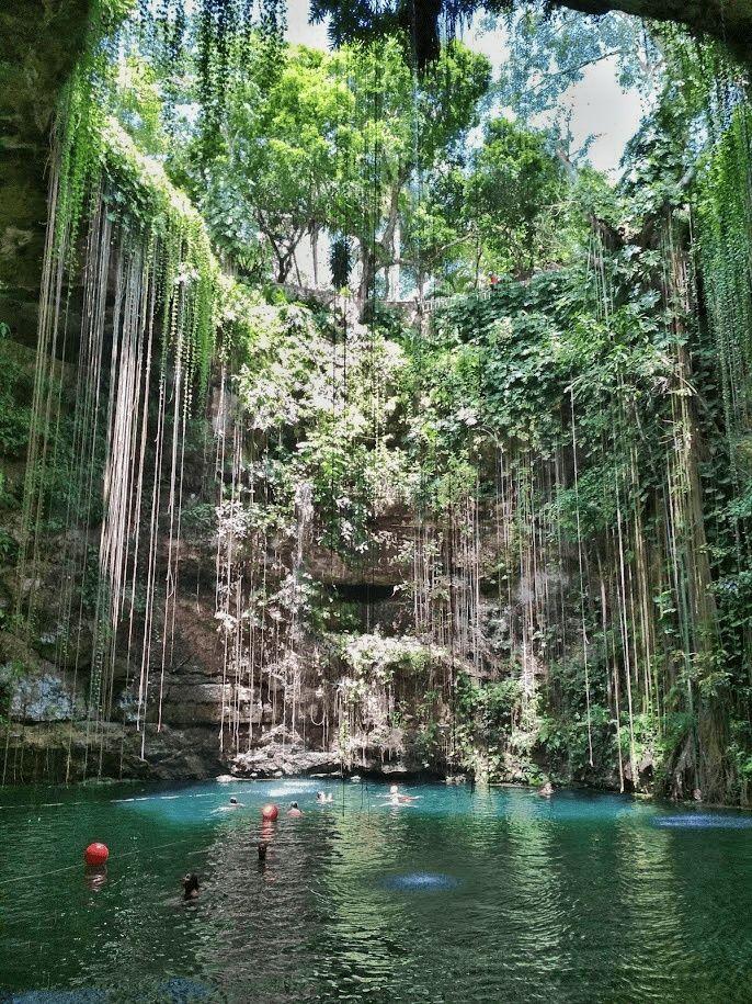 calm cenote with long tree roots and vines hanging down from cave walls. few people in the water