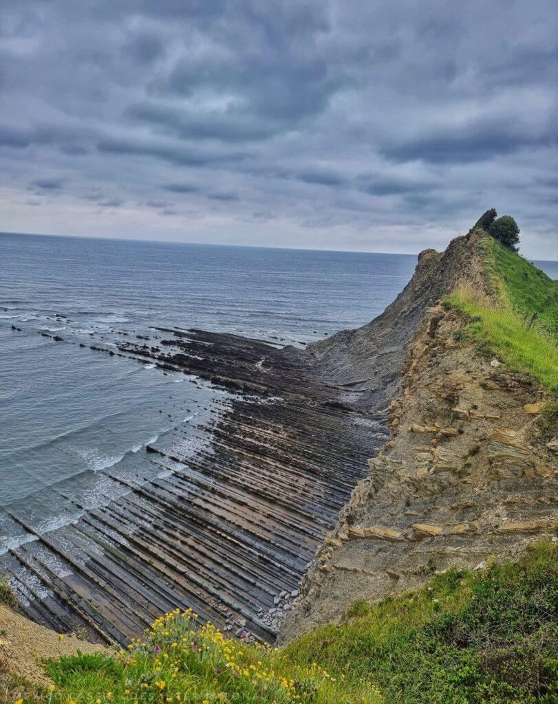 flysch formation of rock along the coast