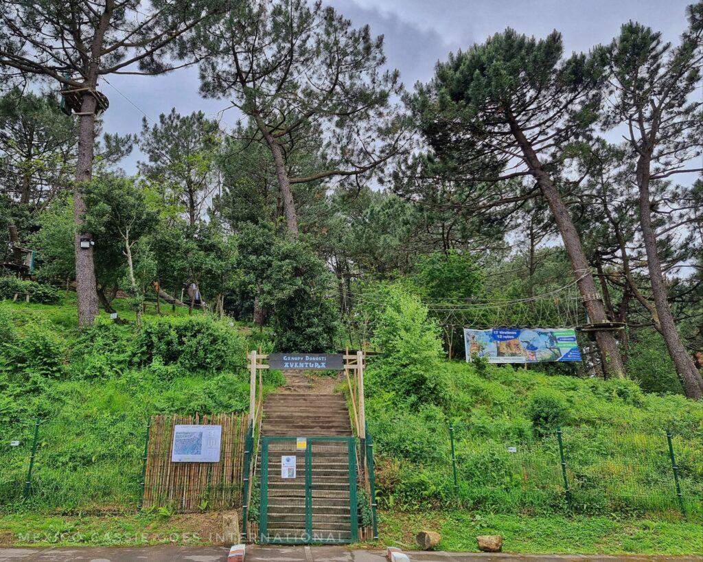 tree top adventure park entrance