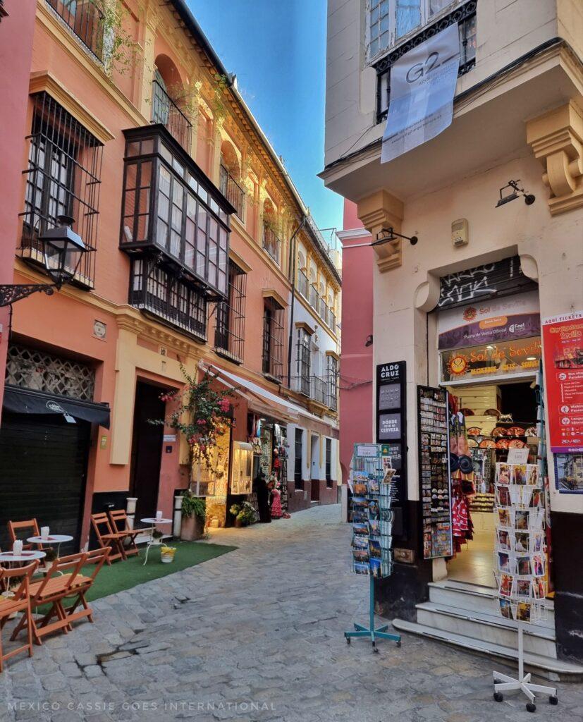 narrow pedestrian road through seville - houses on both sides