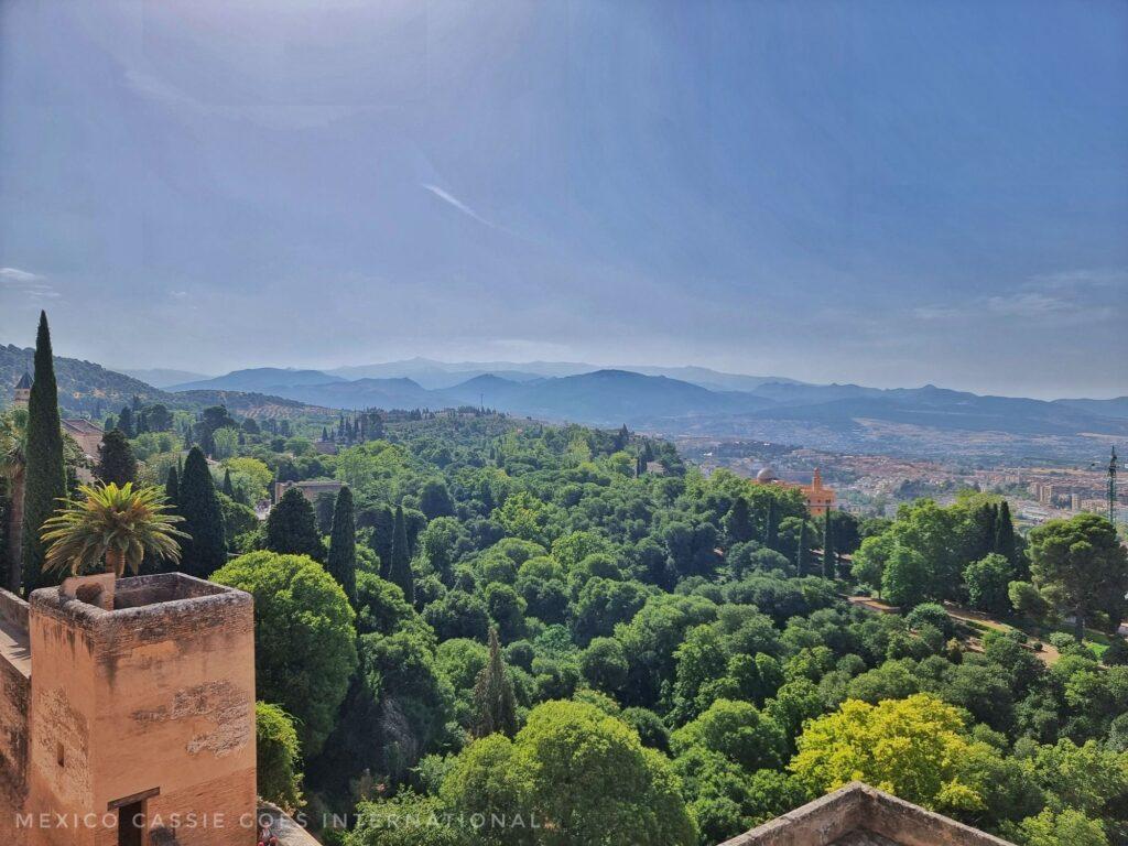 view over trees and a lower tower