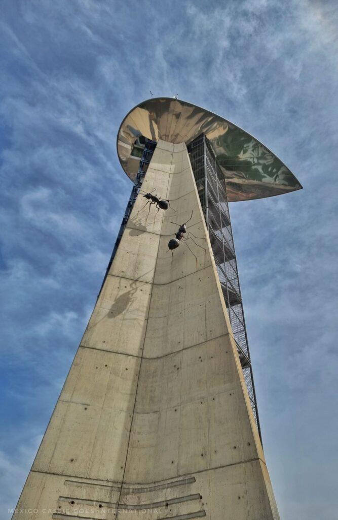 looking up at an observation tower made of concrete with a silver coloured leaf shaped top. 2 giant ants on one side