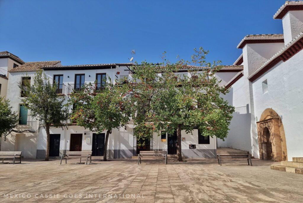 empty plaza with white buildings and a few trees