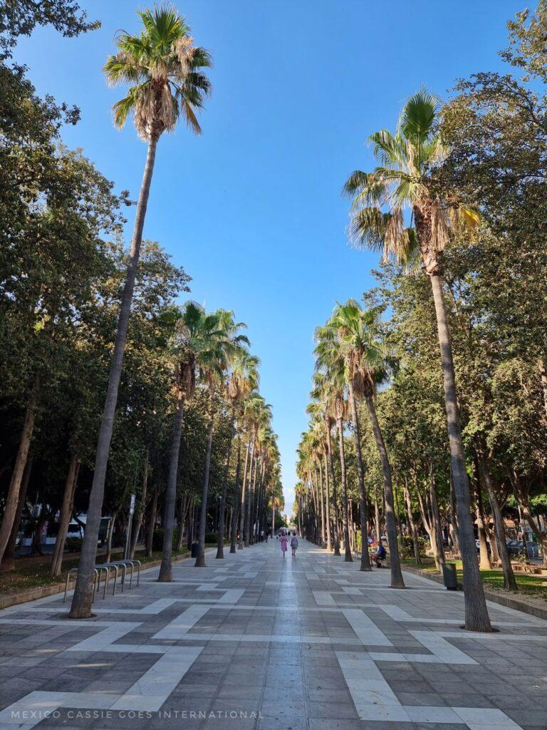 view of the Almeria rambla - a palm tree lined street, floor is red and white paved