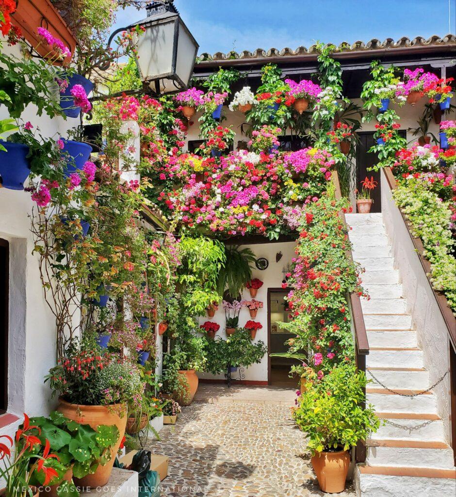 beautifully decorated patio - 2 stories, stairs with chain across and flowers everywhere