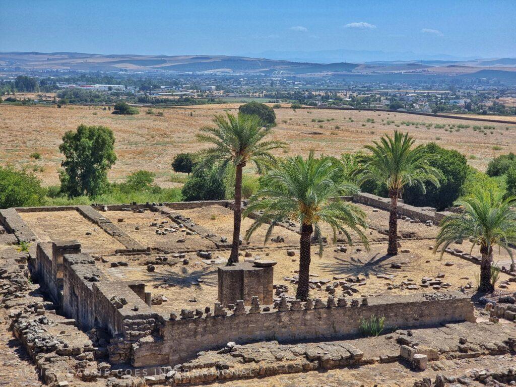 looking down over a ruined building (mezquita), palm trees within the walls