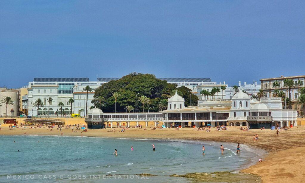 Beach shot - blue water, golden sand, white buildings and enormous ficus tree in distance behind buildings