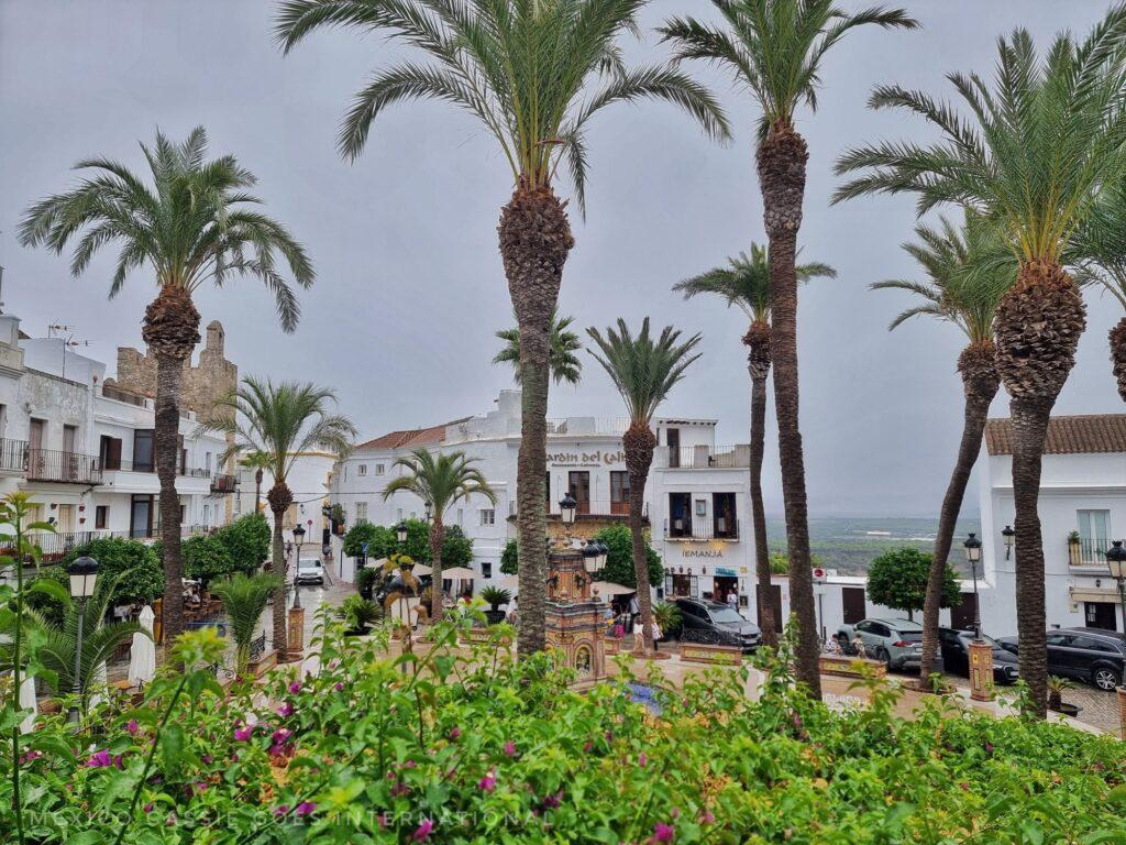 wet, grey day, small town plaza with fountain, talk palms and white buildings