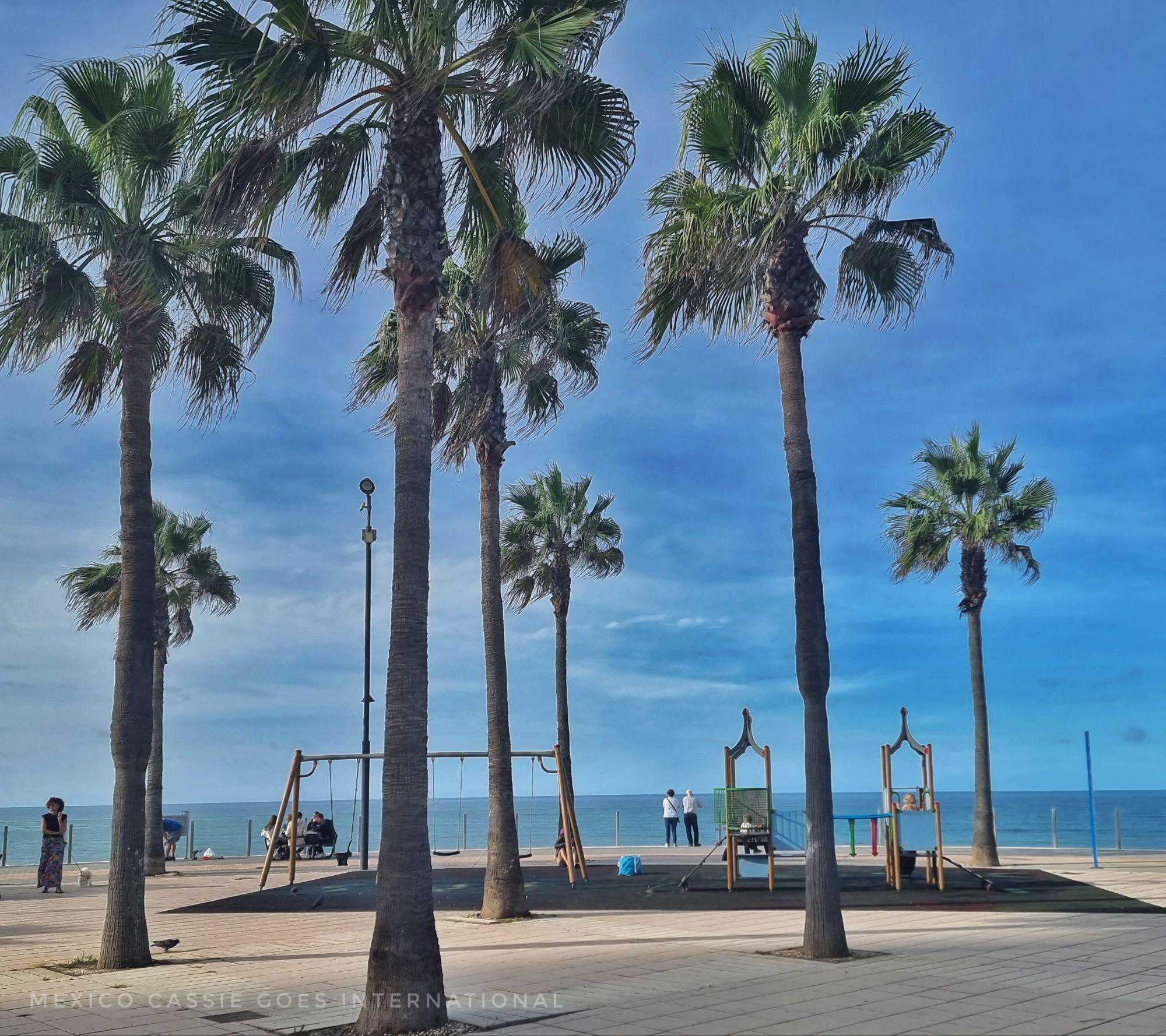 small playground surrounded by palm trees, sea behind