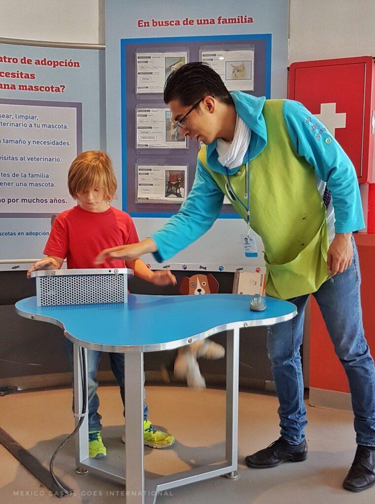 kid in red tshirt and adult in green apron at a table together in a museum