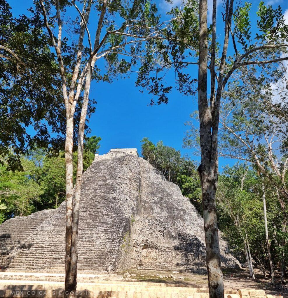 tall pyramid in the trees