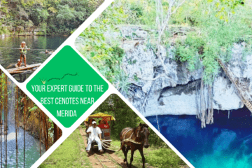 green text box: your expert guide to cenotes near merida. 4 photos, 1 of open cenote, 1 of kid on raft in a cenote, 1 of people in a channel swimming and 1 of a horse & cart