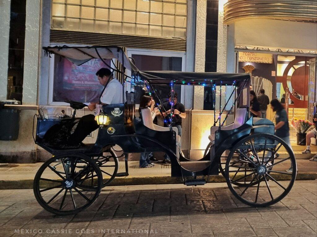 man sitting in driver seat of a black electric carriage at night
