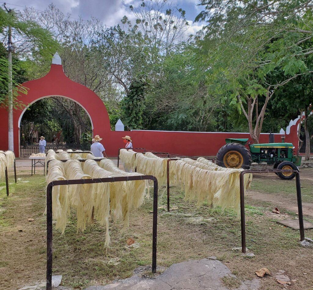 henequen drying on line in front of red arch