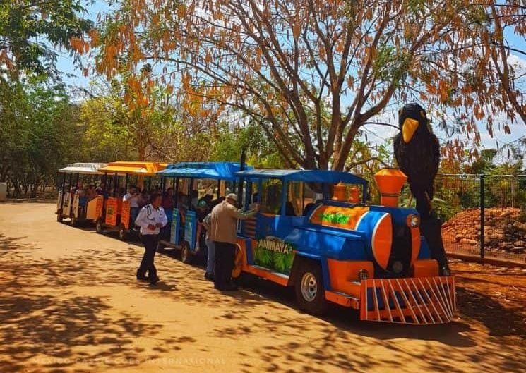 small colourful tourist train in a zoo