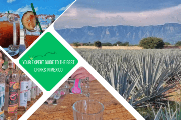 green text box: Your expert guide to the best drinks in mexico. 4 photos - 1 of agave field, 1 of 2 micheladas on the beach, 1 of row of mezcal bottles and 1 of close up of pouring mezcal